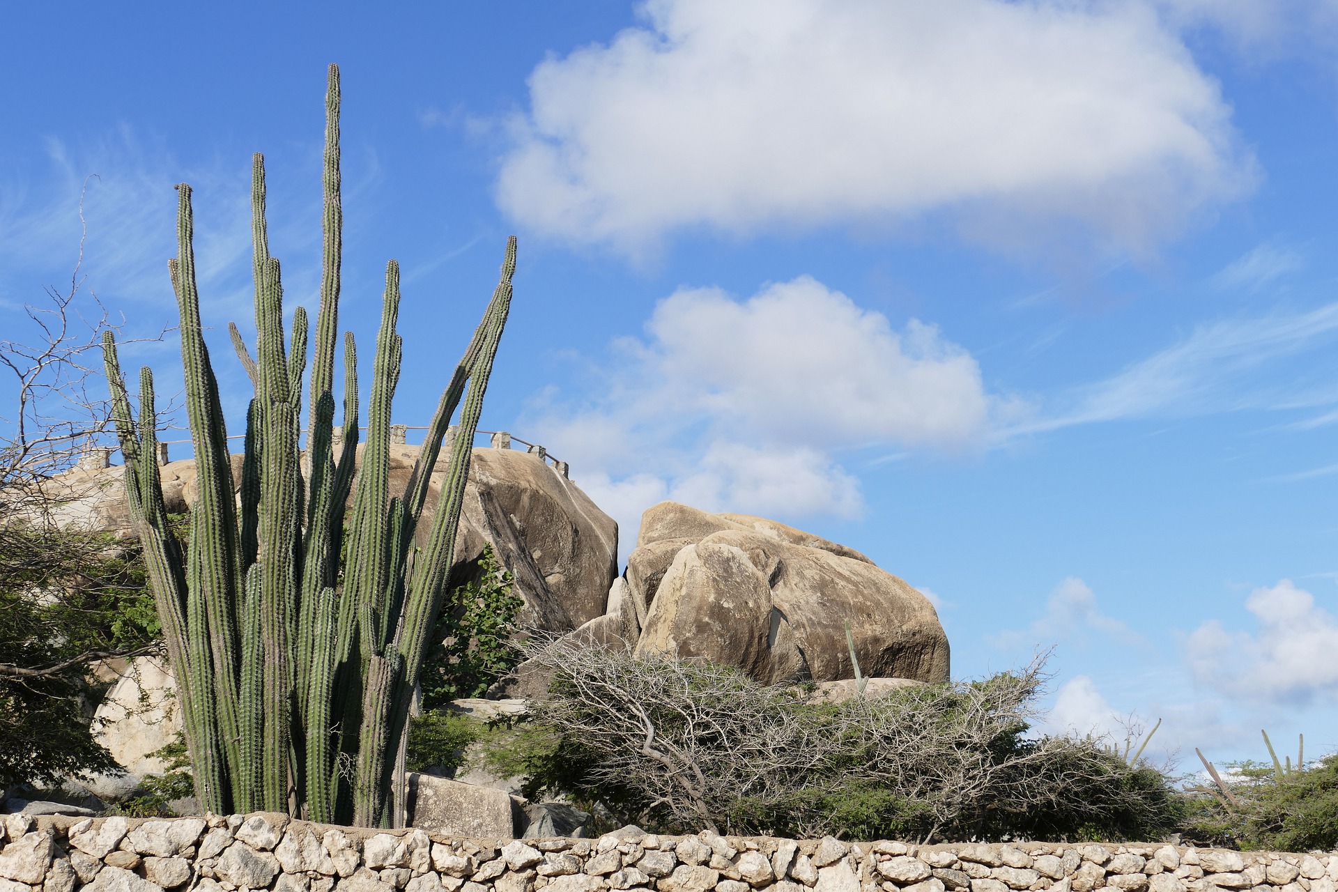 prachtige natuur Aruba